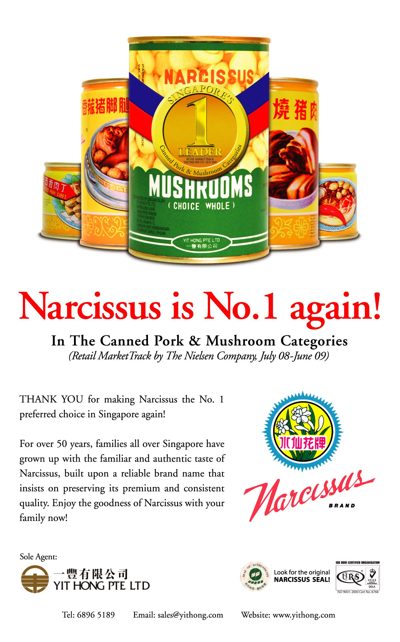 Narcissus No